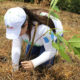 campaña de reforestación Agrocaribe